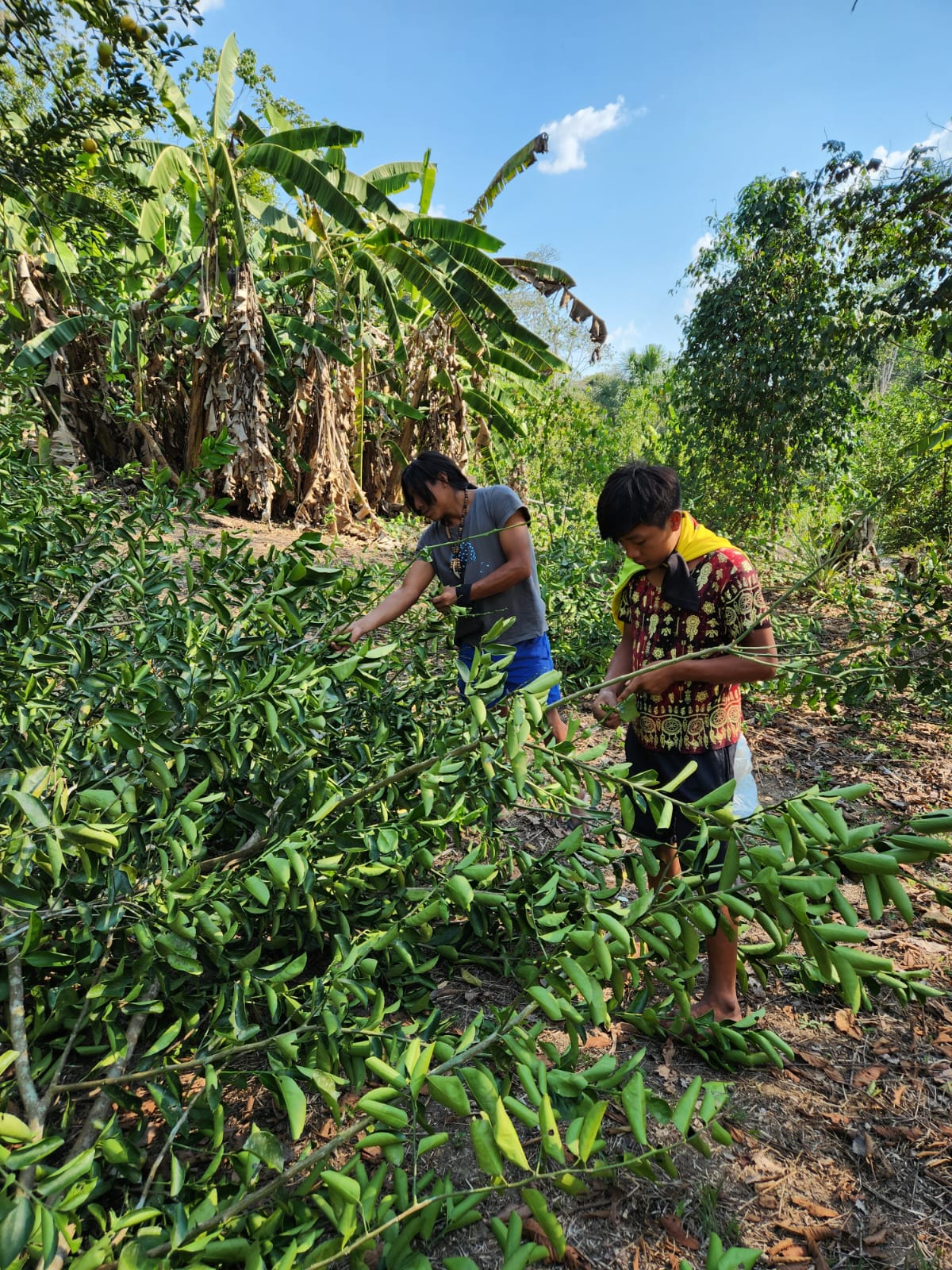 91008c60-662b-4377-b8ac-8eaaae4c3155