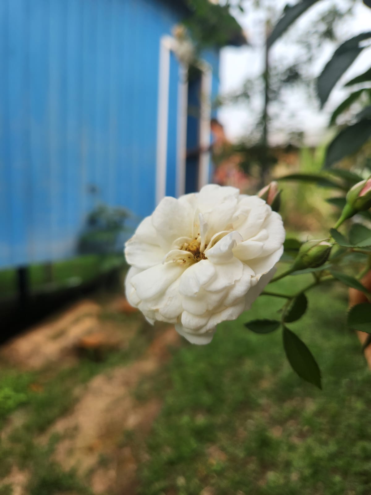 WhatsApp Image 2024-11-08 at 17.51.49 (1)