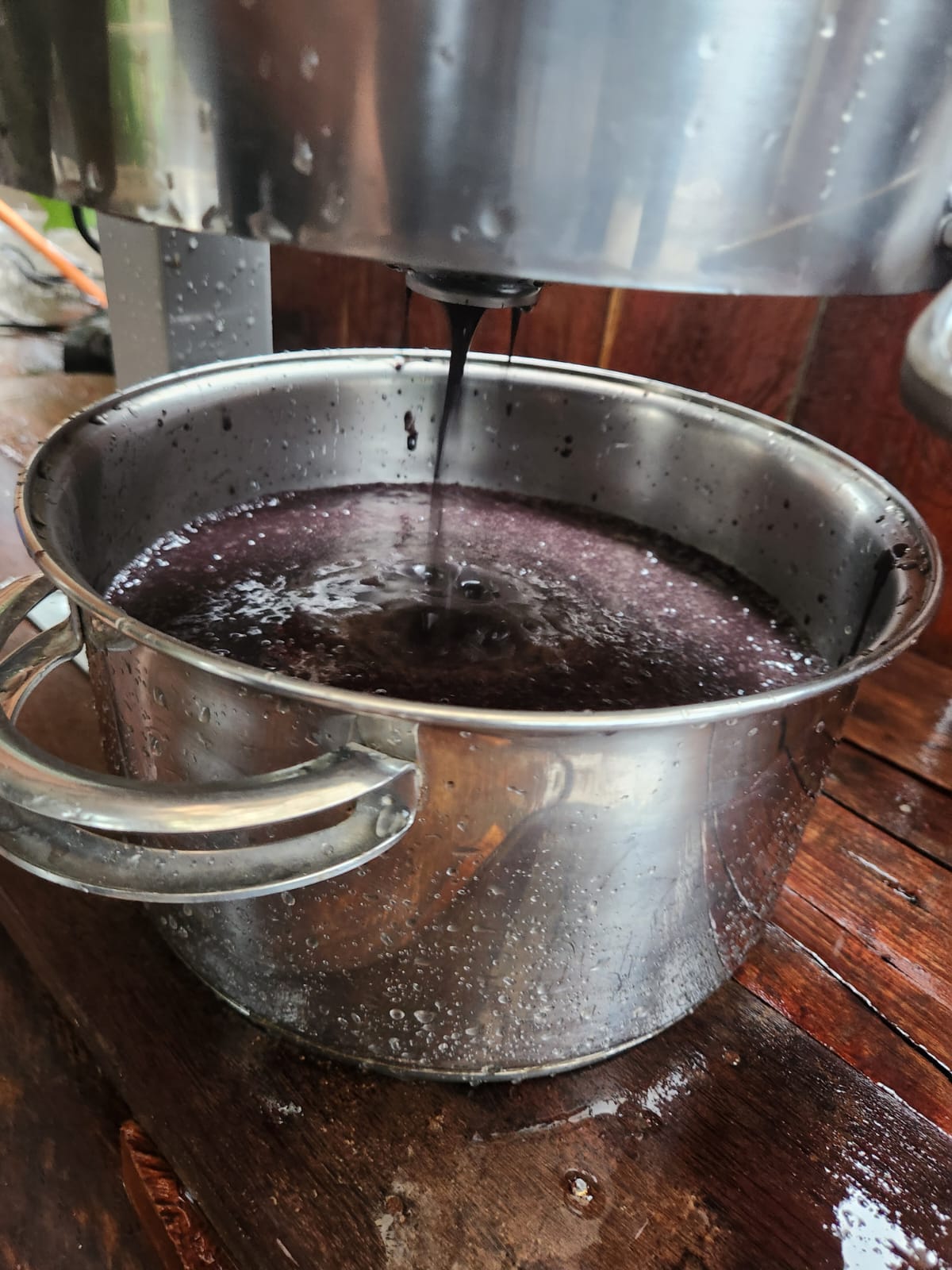 Polpa fresca de açaí sendo produzida com água de nascente cristalina / Fresh açaí pulp being produced with crystal clear spring water
