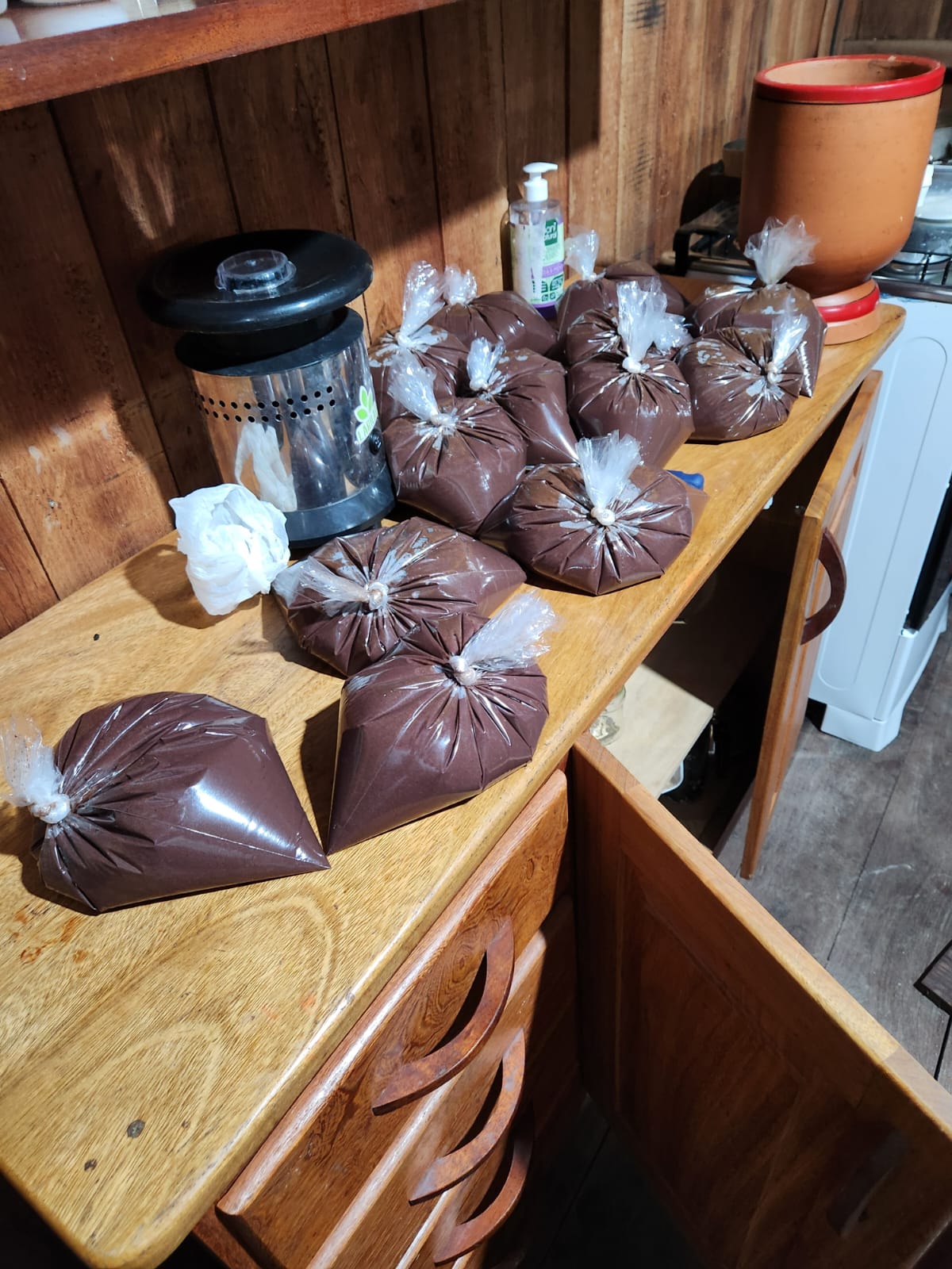 Polpas de açaí ensacadas / Bagged açaí pulps